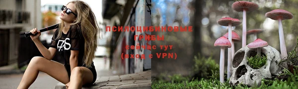прущие грибы Алзамай