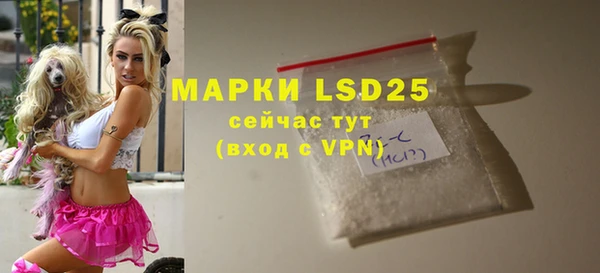 прущие грибы Алзамай