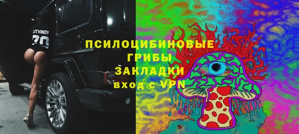 твердый Няндома