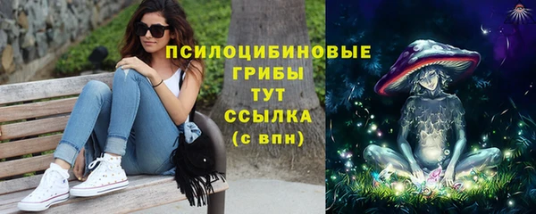 прущие грибы Алзамай
