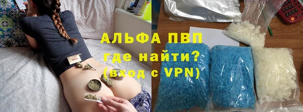 прущие грибы Алзамай