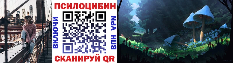 цена   гидра tor  Галлюциногенные грибы Cubensis  Асино 